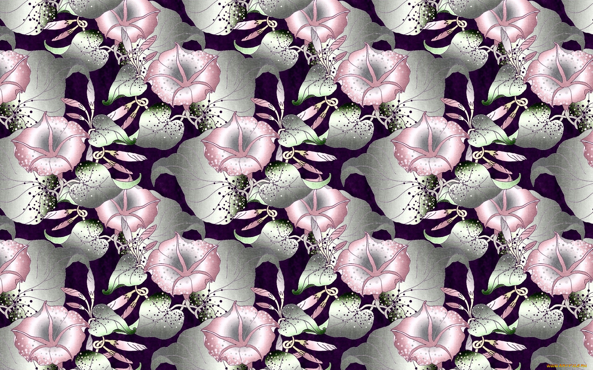  ,  , flowers, , 